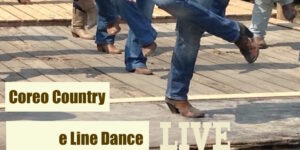 Country Line Dance Coreografie logo
