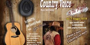 Country Voice in the night logo