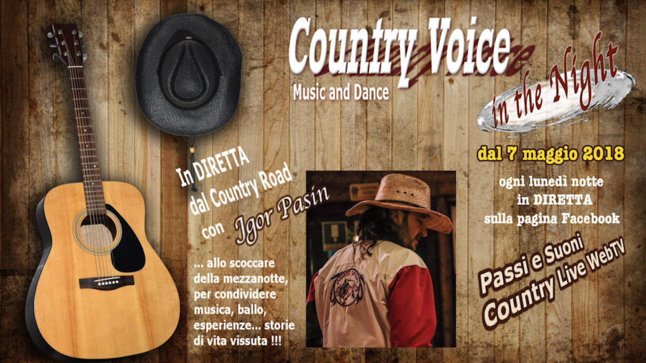 Country Voice in the night logo